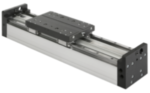 Linear gantry module with rail guides